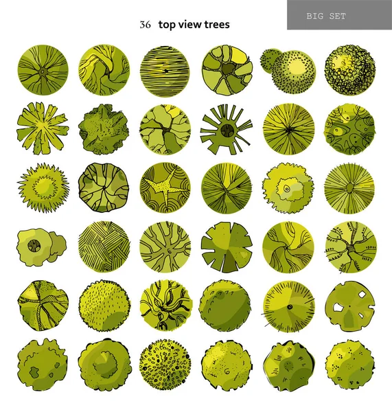 Top view big vector set of different trees.Hand drawn illustration for landscape design, plan, maps.Collection of trees, isolated on the white background. — Stock Vector