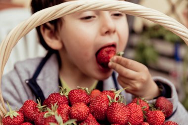  Yakışıklı çocuk beslenme sağlıklı organik gıda, taze çilek. Taze çilek bir sepet içinde aldı.  