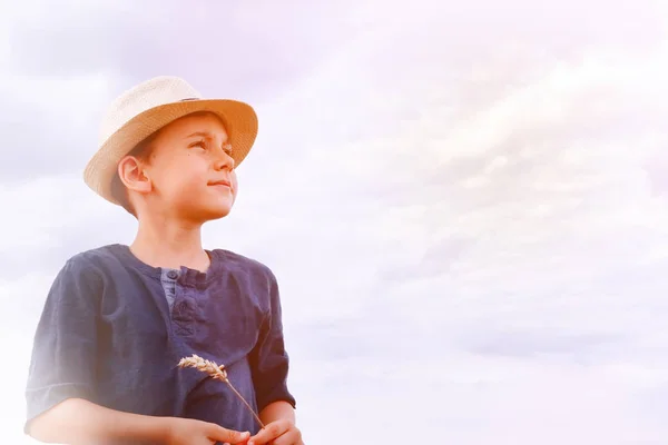 Young boy looking up at sky.young boy playing in field looking at sky — Stock Photo, Image