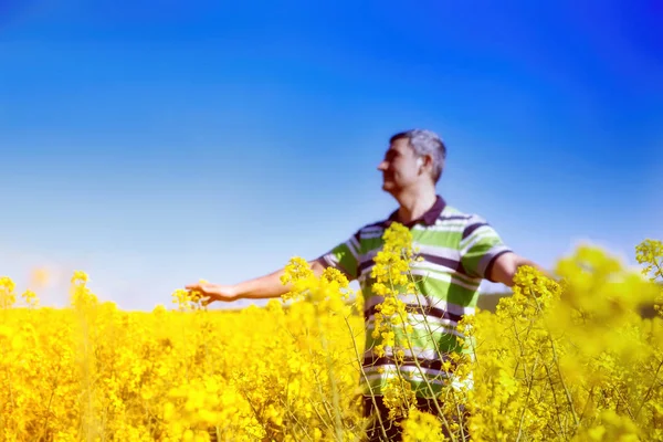 Человек с широко раскрытыми руками на фоне солнечного голубого неба. Человек стоит в золотистом поле канолы. — стоковое фото