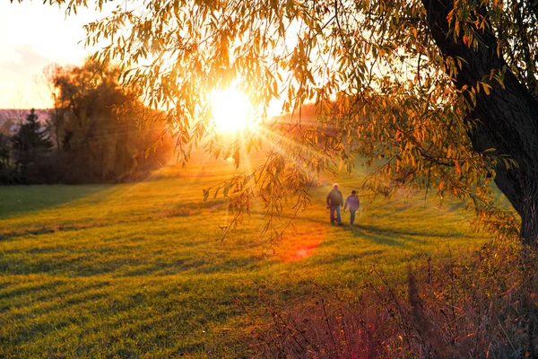 Sonnige Herbstlandschaft -Reihe von Herbst vergilbten Baum unter Herbstsonne. und ein paar Männer und Frauen gehen in die Ferne. Sonnenuntergang Sonnenstrahlen Natur Hintergrund autimn saisonale Atmosphäre Konzept. — Stockfoto