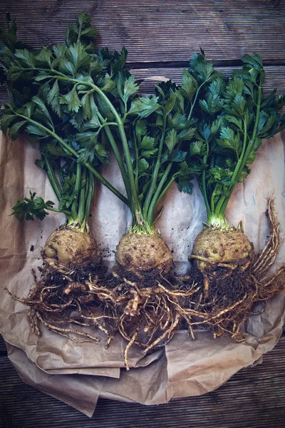 Organic celery root celery and leaves of celery with soil on paper background. Fresh turn off celery