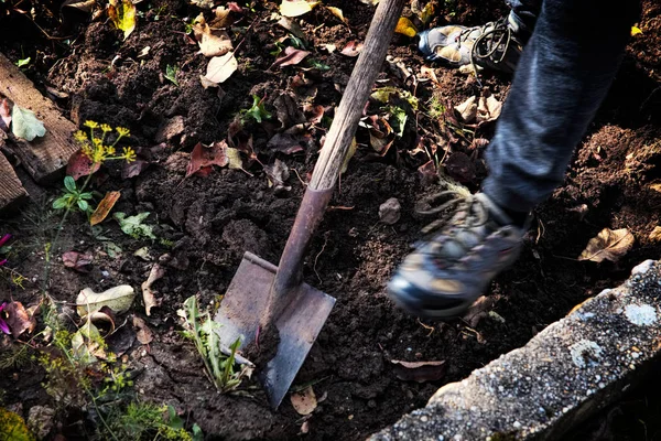 Adam bir Bahçe, bacaklarını ve odak bir maça sebze kazmak