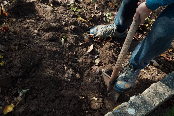 Adam bir Bahçe, bacaklarını ve odak bir maça sebze kazmak