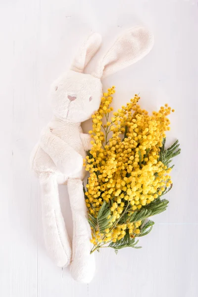 Wit konijn met mimosa — Stockfoto