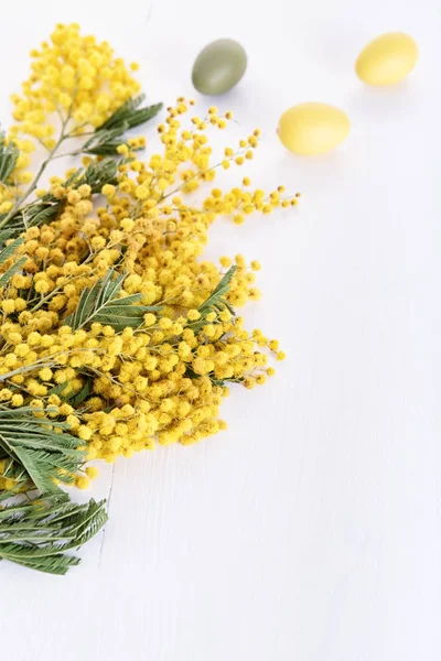 Mimosa and easter eggs — Stock Photo, Image