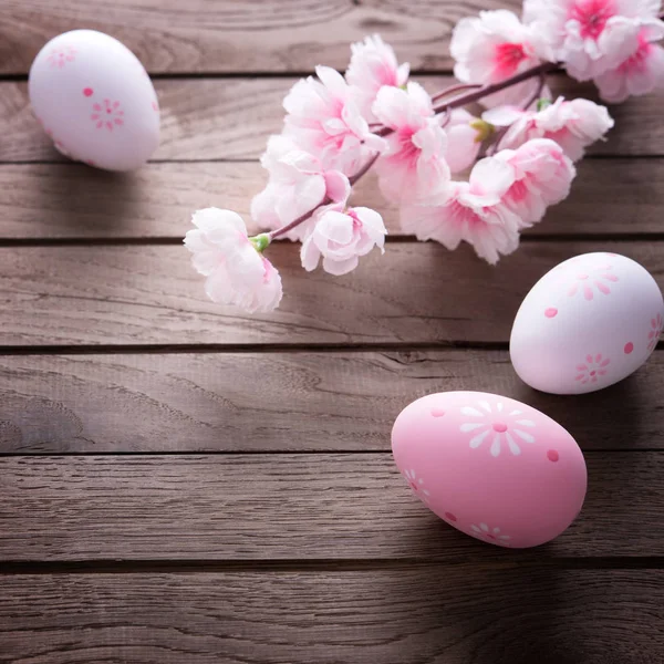 Huevos de Pascua y flor de cerezo — Foto de Stock