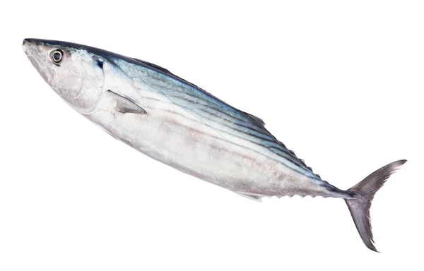 Pelamida üzerinde beyaz izole