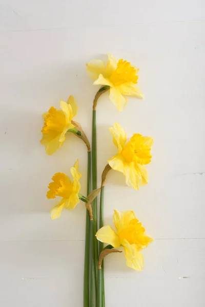 Narcissus on wooden table — Stock Photo, Image