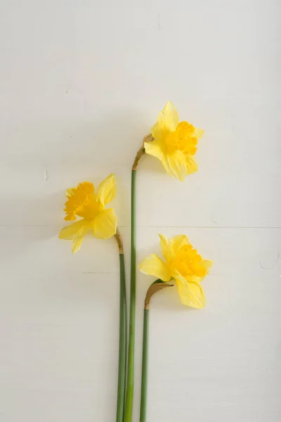 Narcissus on wooden table — Stock Photo, Image