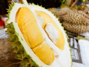 Durian meyve yakın çekim