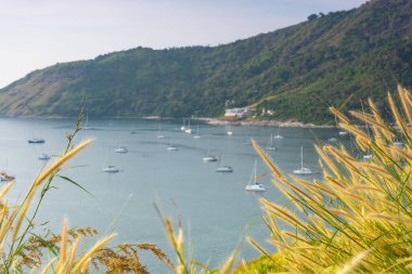 Phuket, Tayland 'daki deniz kıyısı plajı..