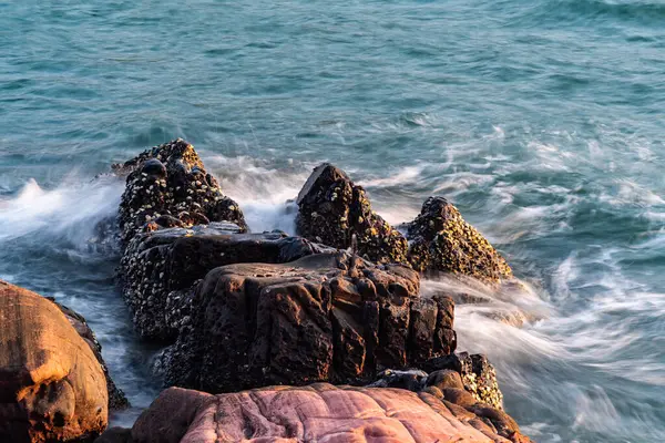 Paisaje fotografía de piedra naranja en el mar . — Foto de Stock