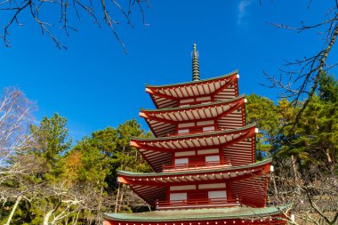 Sonbahar sezonunda Chureito Pagoda 'dan güzel bir manzara. Fujiyoshida, Japonya