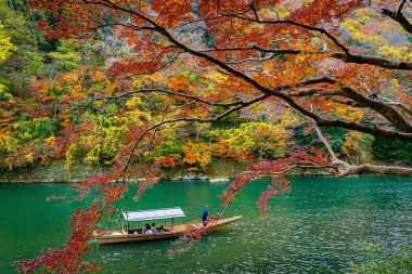 Kayıkçı, Autum 'daki Arashiyama orman manzarasında kürek çekiyor.