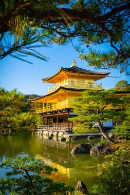 Kinkaku-ji Tapınağı 'ndaki altın pavilyon. Suda yansımaları olan dünya mirası alanı. Japonya, Kyoto 'da sonbahar sezonu.