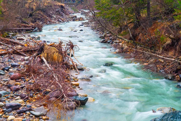 Water stream in the forest - Autumn season in Russia