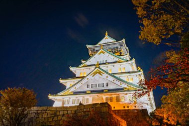 Osaka Kalesi ya da Himeji Kalesi Sonbahar mevsiminin koyu mavi gecesinde renkli akçaağaç yapraklarıyla Osaka şehri, Japonya.