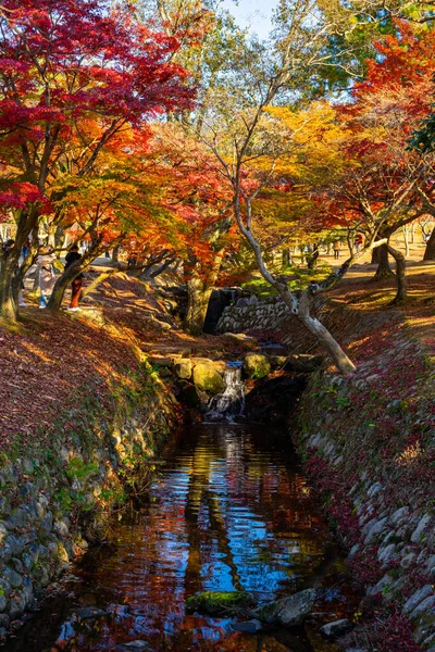 Kleurrijke boom langs de beek in het najaar in Nara Park, Japan — Stockfoto