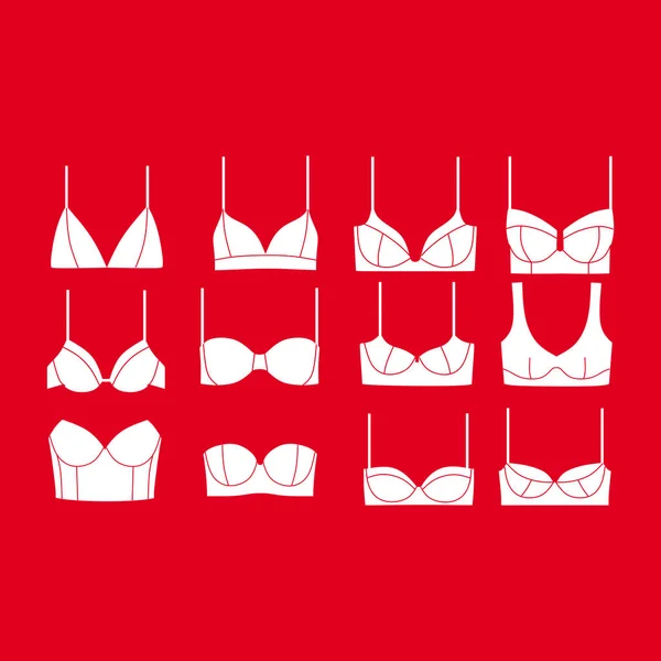 Sutiãs e cuecas. lingerie sexy e calcinha. Vetor Lingerie . —  Vetores de Stock