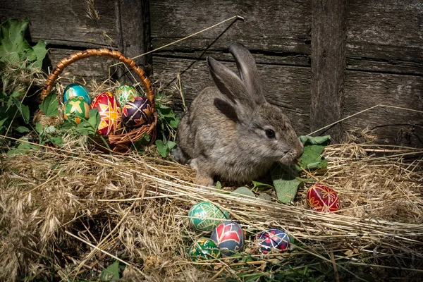 Paskalya yumurtaları ve Paskalya gri tavşan sepet
