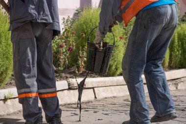 Yol onarım. İş ayrıntıları, işçi reçine yol yüzeyi asfalt karşılamak için dök.