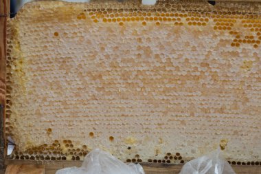 Bal tarak tarım fuarında satış 's