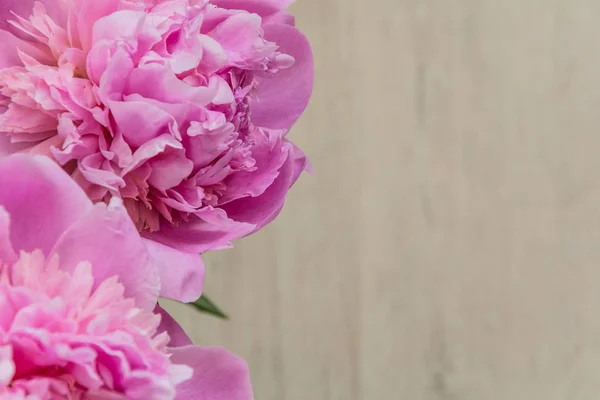 Anne üzerinde pembe peonies çiçeklerin Day, yakın çekim