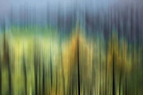 Kleurrijke bomen in beweging — Stockfoto