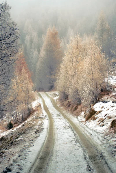 Camino Cubierto Nieve Medio Montaña — Foto de Stock