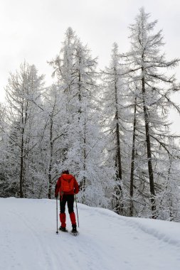 Dağlarda kar ayakkabıları ile gezi