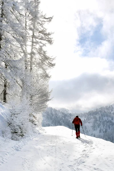 Excursión Las Montañas Con Raquetas Nieve — Foto de Stock