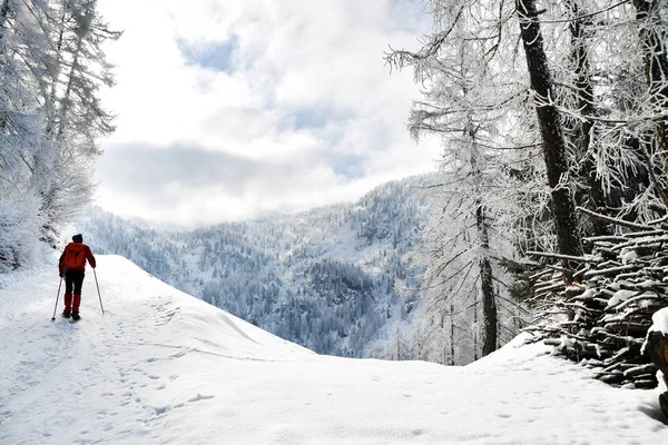 Excursión Las Montañas Con Raquetas Nieve — Foto de Stock