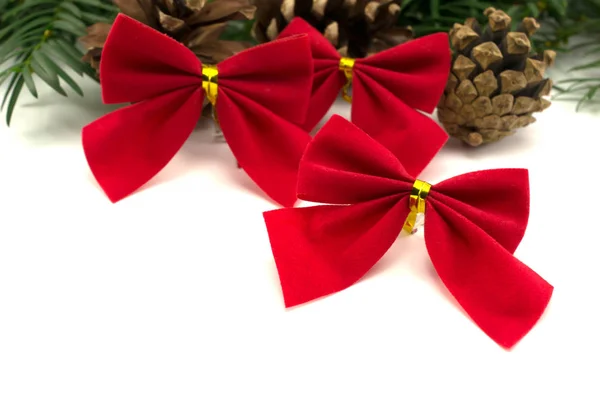 şeritler ve bir beyaz çam kozalakları ile Noel ağacı dalı 