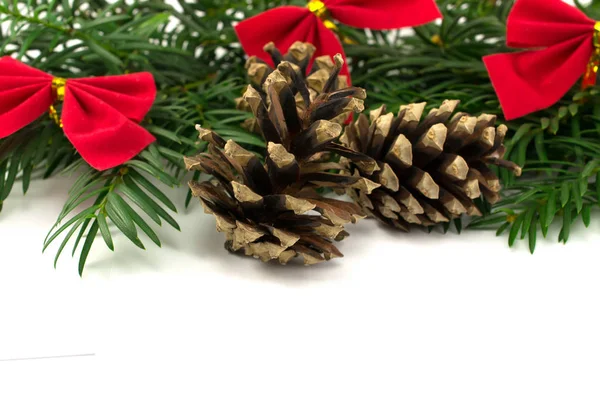 Branche d'arbre de Noël avec des rubans et des cônes de pin sur un blanc — Photo
