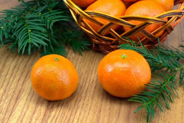 Tangerinas maduras na cesta, galhos árvores de Natal — Fotografia de Stock