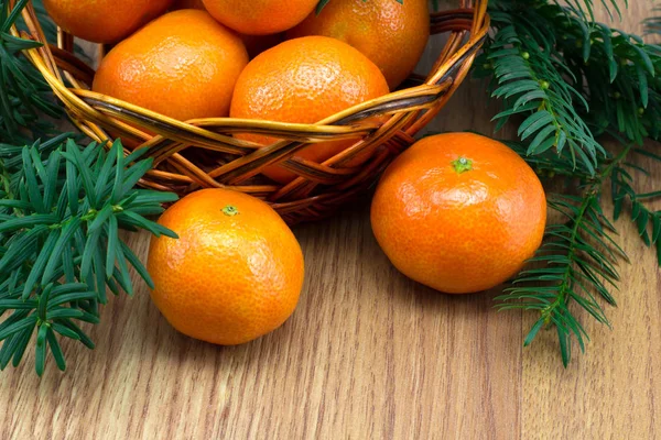 Tangerinas maduras na cesta, galhos árvores de Natal — Fotografia de Stock