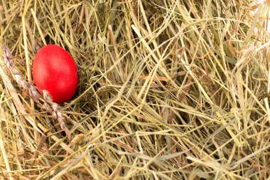 Bir boyalı kırmızı easter egg saman