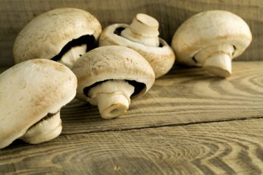 Petrol bir ahşap tahta üzerinde