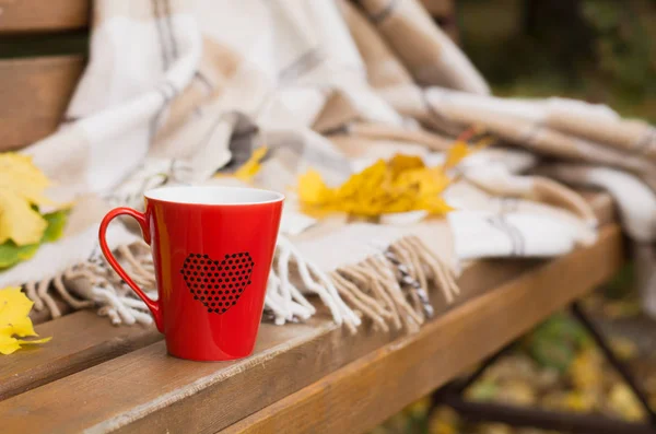 Tasse rouge enveloppée dans une couverture sur un banc, feuilles — Photo