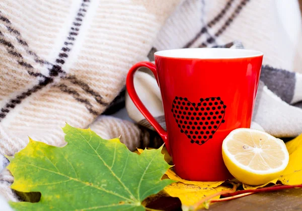 Tasse rouge et citron enveloppé dans une couverture sur un banc, feuilles — Photo