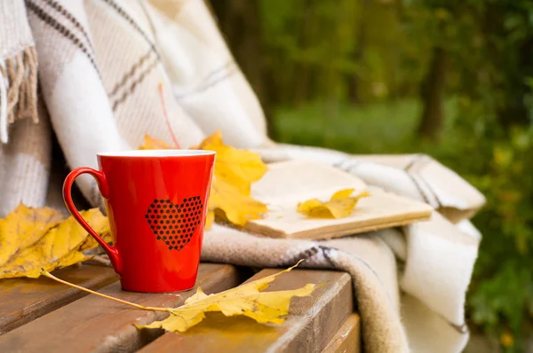 Tasse rouge et livre enveloppé dans une couverture sur un banc — Photo