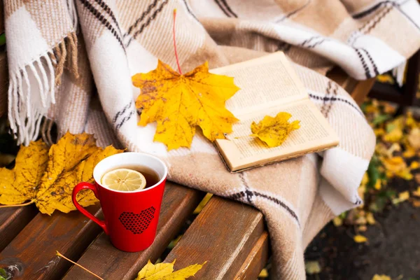 çay, ekose, limon, yaprakları sararmış