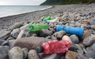Plajda North Wales, İngiltere'de plastik evsel atıklarla çürüyen