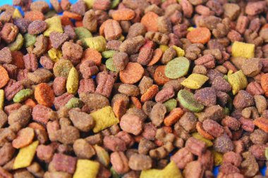 Sarı kase kuru kedi maması 