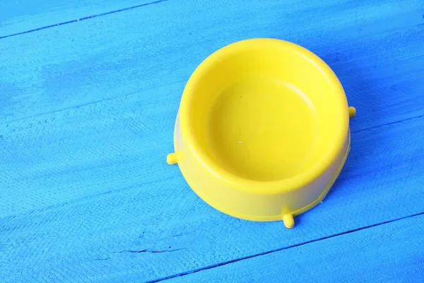 노란색 그릇에 고양이 — 스톡 사진