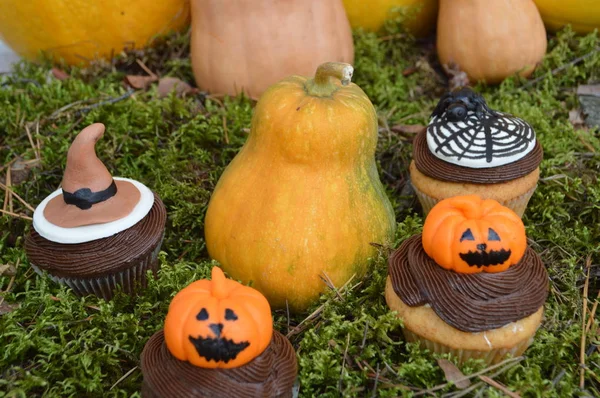 cupcakes için bir parti Halloween