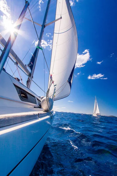 Sailing in Adriatic — Stock Photo, Image