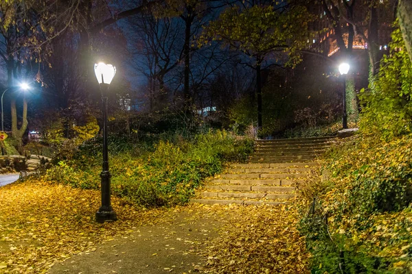 Central Park, Nueva York, EE.UU. — Foto de Stock