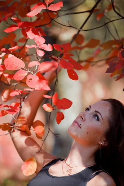 Dívka v červených listů na podzim — Stock fotografie